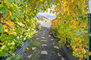 View of side yard, fully landscaped