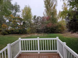 View of backyard from Deck