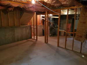 Unfinished Basement