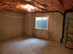 Unfinished Basement