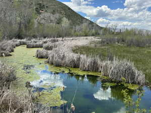 Photo 30 of S ECHO FRONTAGE RD