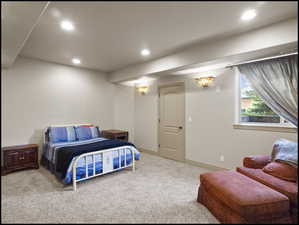 Basement large bedroom