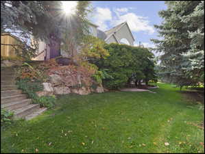 Gorgeous backyard and landscaping