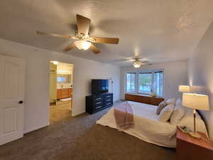 Carpeted bedroom with ensuite bathroom, ceiling fan, and a textured ceiling