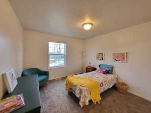 Carpeted bedroom with a textured ceiling