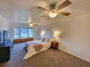 Carpeted bedroom with ceiling fan and a textured ceiling