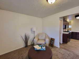 Sitting room with a textured ceiling and light carpet