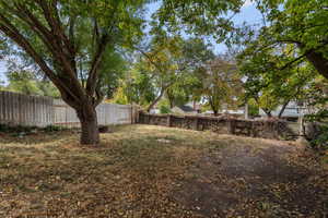 View of back yard