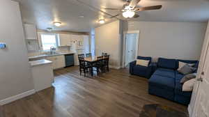 Living room featuring dark hardwood / wood-style flooring, sink, and lofted ceiling