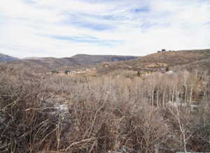 Property view of mountains