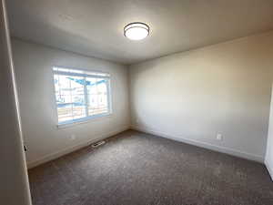 Empty room with dark colored carpet