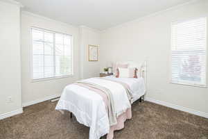 Carpeted bedroom with crown molding