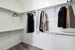 Spacious closet featuring carpet floors