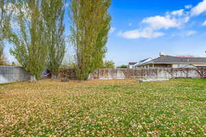 View of backyard yard