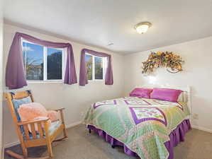 Bedroom with carpet floors