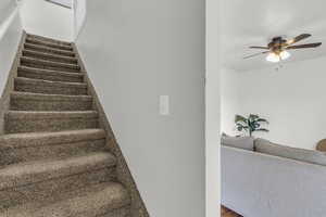 Stairs featuring wood-type flooring and ceiling fan