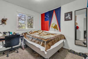 Carpeted bedroom featuring a textured ceiling