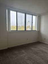 Empty room featuring plenty of natural light, carpet floors, and ornamental molding