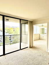 Empty room featuring carpet, ceiling fan, and crown molding