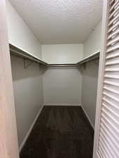 Spacious closet with carpet floors