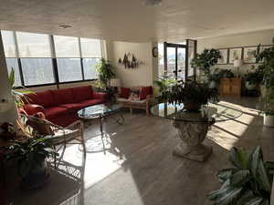 Sun/garden social room, and a healthy amount of sunlight