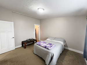 Bedroom with a textured ceiling and dark carpet