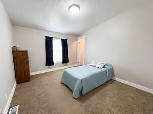 Carpeted bedroom featuring a textured ceiling and vaulted ceiling