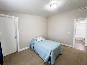 Carpeted bedroom with connected bathroom