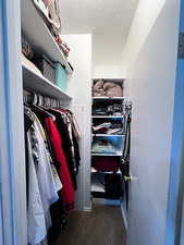 Spacious closet with carpet floors