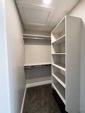 Spacious closet with dark colored carpet