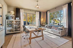 Office area featuring hardwood / wood-style flooring and a wealth of natural light