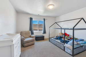 Bedroom with carpet floors and a textured ceiling