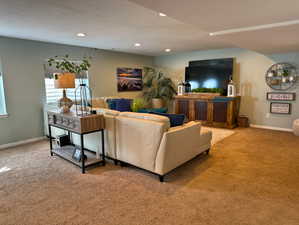 Basement Family Room