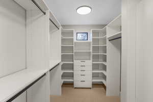 Walk in closet featuring light colored carpet