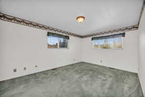 Carpeted spare room featuring a wealth of natural light