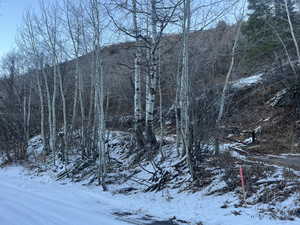 View of snow covered land