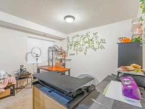 Workout room with carpet and a textured ceiling