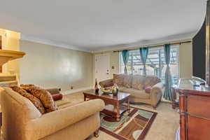 Carpeted living room featuring crown molding