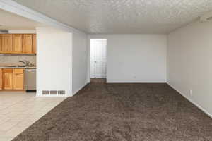 Empty room with light colored carpet, a textured ceiling, and sink