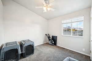 Misc room with vaulted ceiling, ceiling fan, and carpet floors