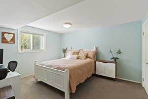 Large Basement Bedroom with walk in closet and daylight window.