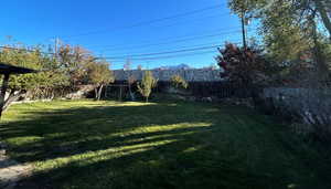 Backyard with fruit trees