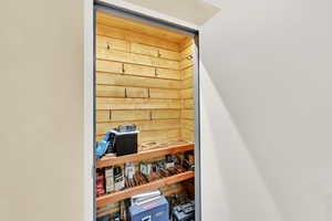 Master bedroom gun closet/safe