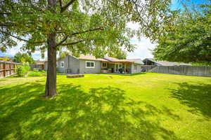 Large Yard with Shade Trees