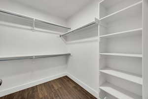 Walk in closet with dark hardwood / wood-style flooring