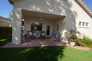 Backyard Patio