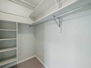 Spacious closet featuring carpet flooring