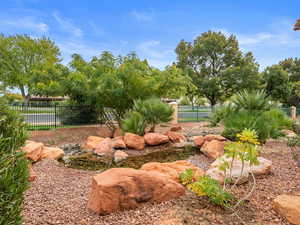 View of backyard