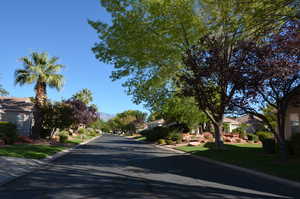 Neighborhood Street View