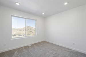 Empty room featuring carpet, a mountain view, and a textured ceiling